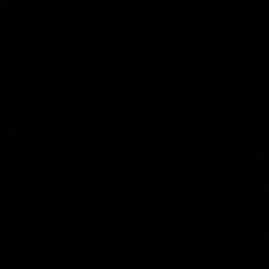 Meet your Posher, Monique